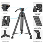 Cayer BV25LH Carbon Fiber Tripod Leg with K6 Fluid Drag Head