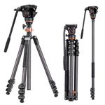 Cayer CF2451 Carbon Fiber Tripod with Fluid Head