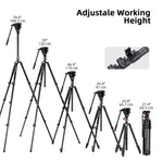 Cayer CF2451 Carbon Fiber Tripod with Fluid Head