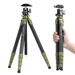 Cayer CH35 Travel Camera Tripod with B1S Ball Head