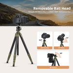 Cayer CH35 Travel Camera Tripod with B1S Ball Head