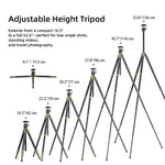 Cayer CH35 Travel Camera Tripod with B1S Ball Head