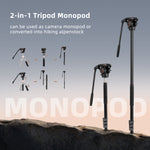 Cayer FP2450 Tripod with H6 Video Head