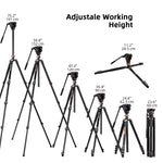 Cayer FP2450 Tripod with H6 Video Head