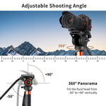 Cayer FP34DV Aluminum Video Monopod with H8 Fluid Head