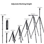 Cayer GAP2450 72.5" Camera Tripod with Horizontal Column with Ball Head